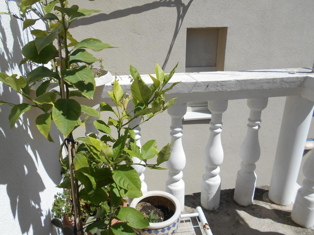 Apartments Ema Šibenik Exterior foto